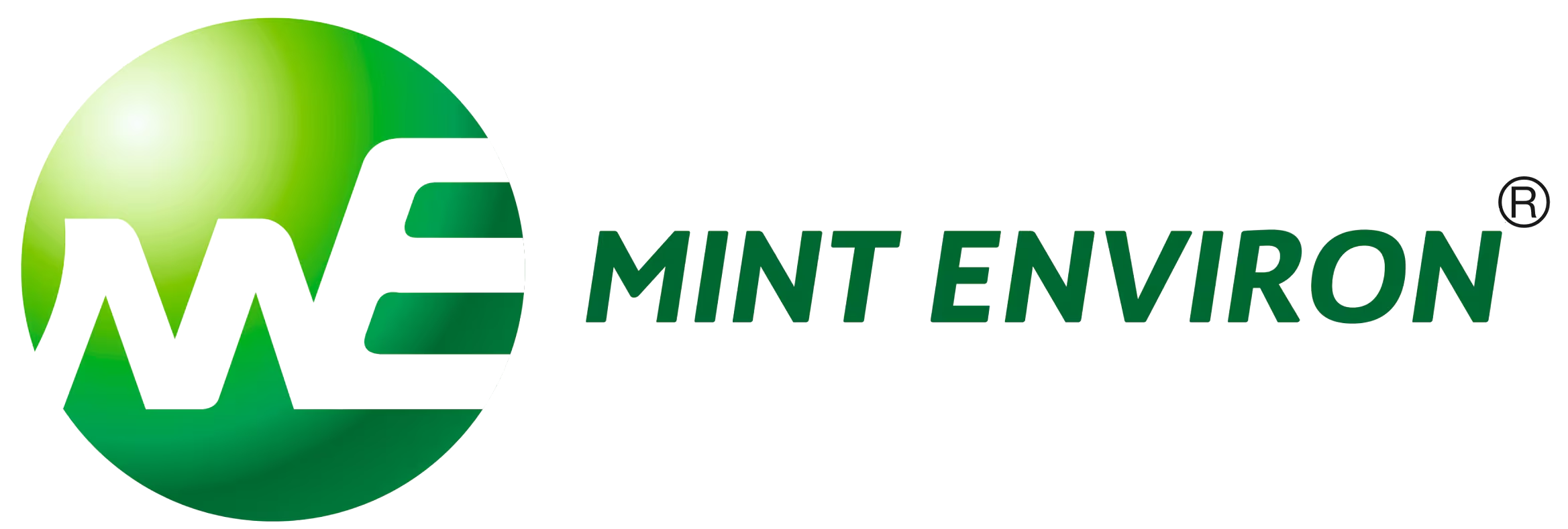 Mint Environ Logo